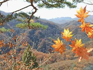 买流产药打胎药保密发货璋利国际完成配售359万股 净筹约415万港元